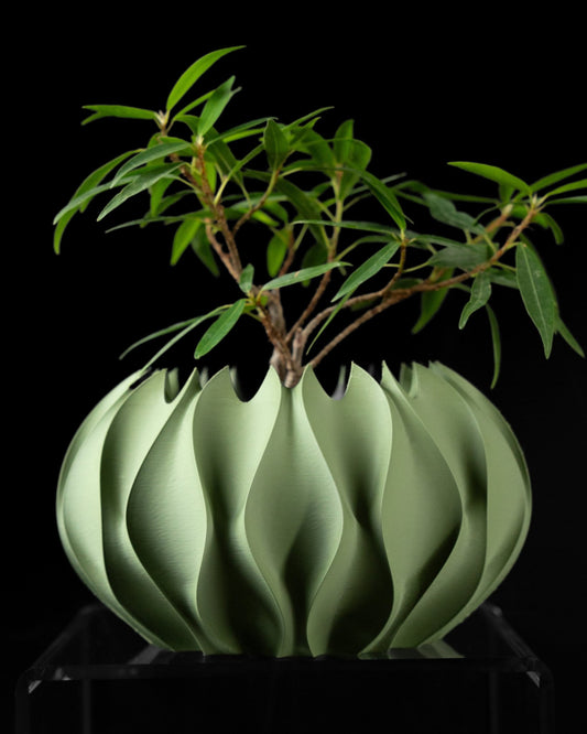 כלי לצמחים - גלי הרוח - פרפקט תלת - מימד