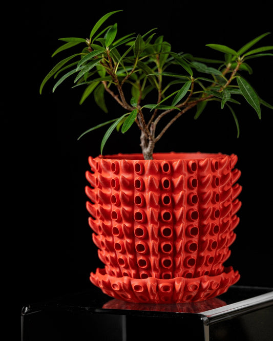 כלי לצמחים - אלמוגי הים - פרפקט תלת - מימד