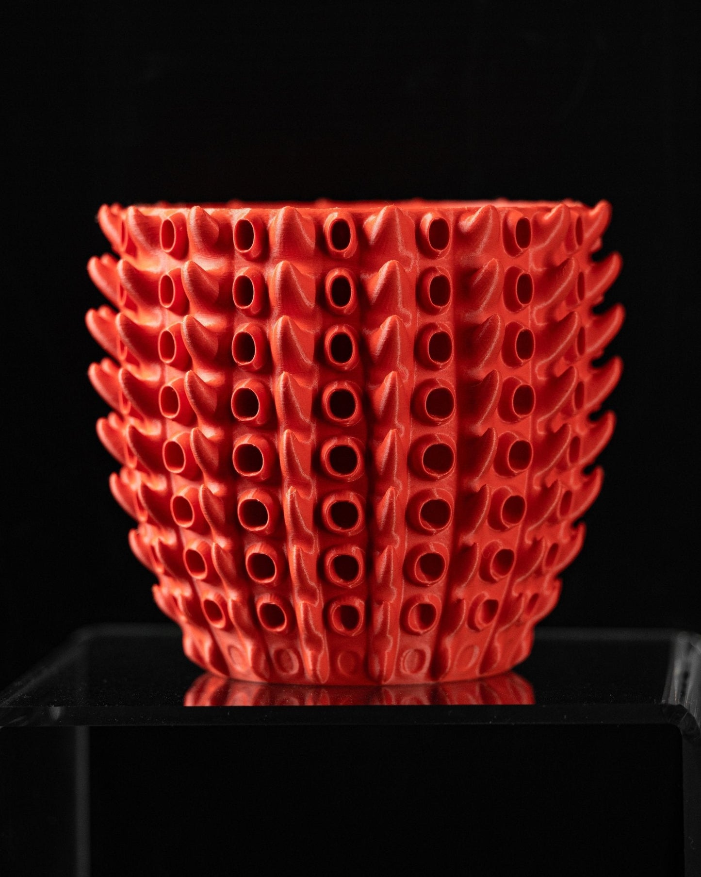 כלי לצמחים - אלמוגי הים - פרפקט תלת - מימד