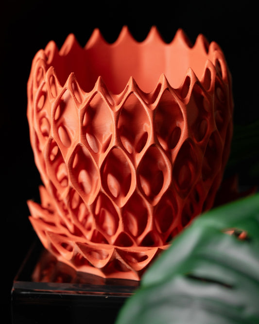 כלי לצמחים - כתר המלכה - פרפקט תלת - מימד