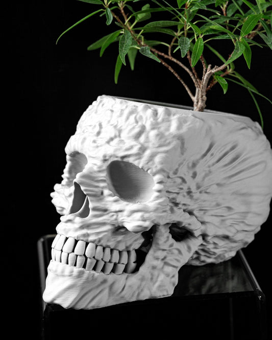 כלי לצמחים - גולגולת לוהטת - פרפקט תלת - מימד