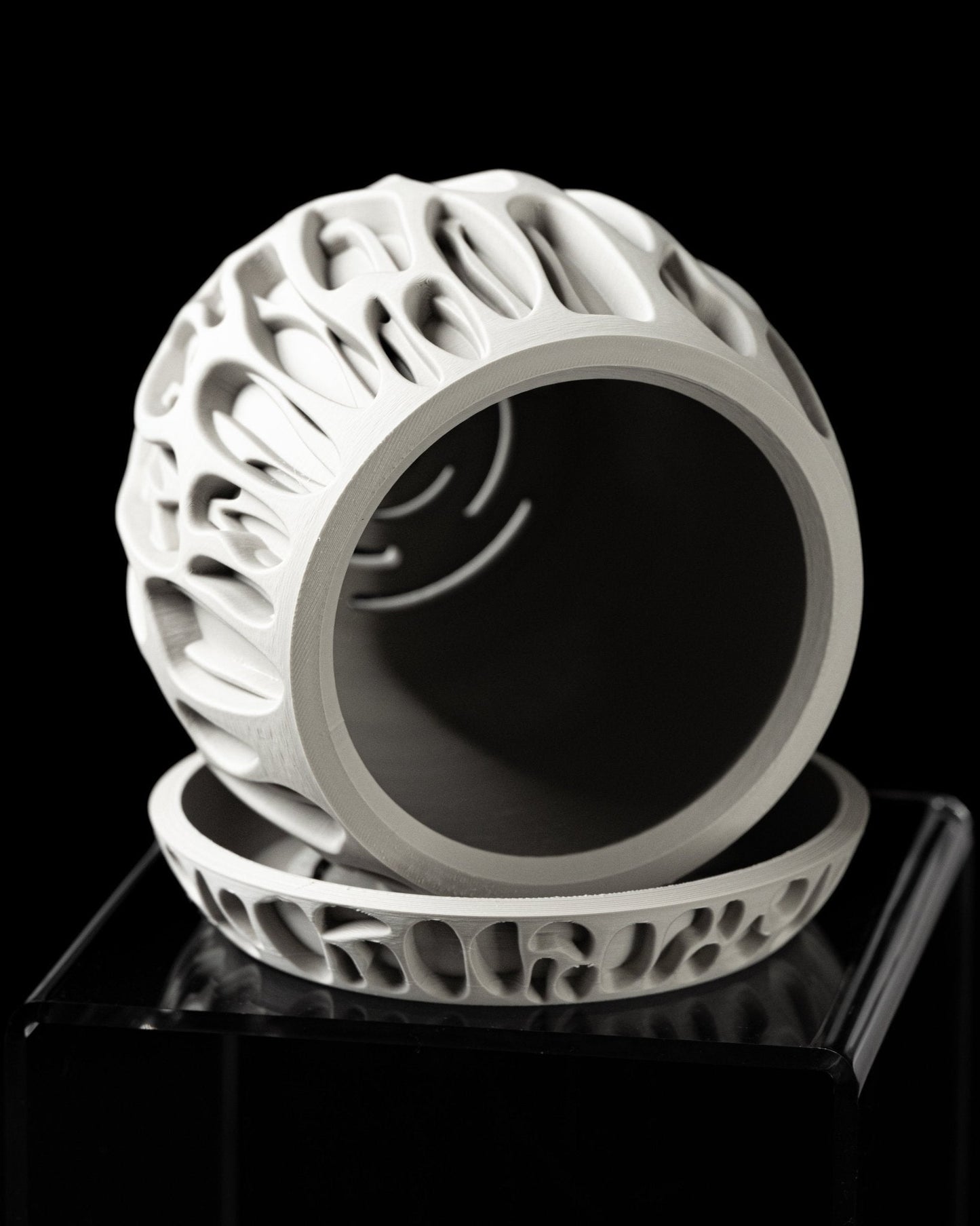 כלי לצמחים - שורשי האלמוג - פרפקט תלת - מימד