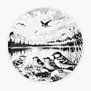 תחתיות ציפורים