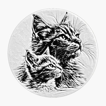 תחתיות חתולים