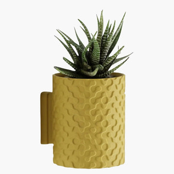 כלים נתלים לצמחים