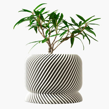 עציצים ואדניות