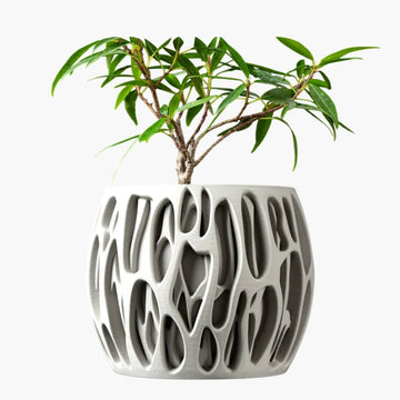 כלים לצמחים וכלי השקיה