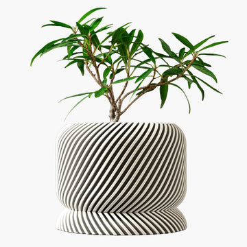 עציצים ואדניות