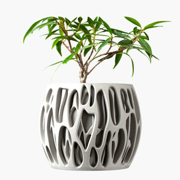 כלים לצמחים וכלי השקיה