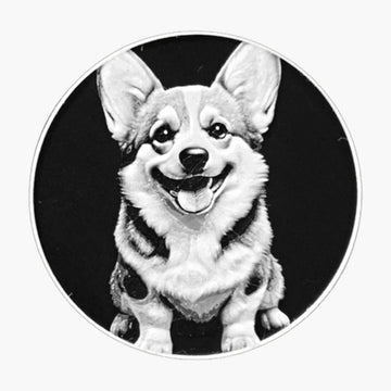 תחתיות כלבים