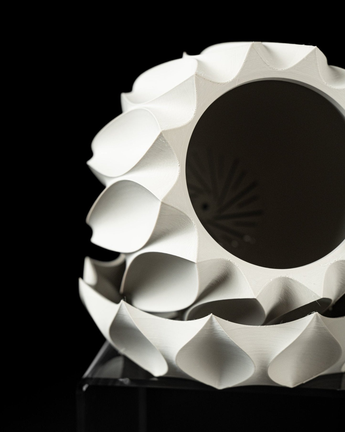 כלי לצמחים - עלי הלוטוס - פרפקט תלת - מימד