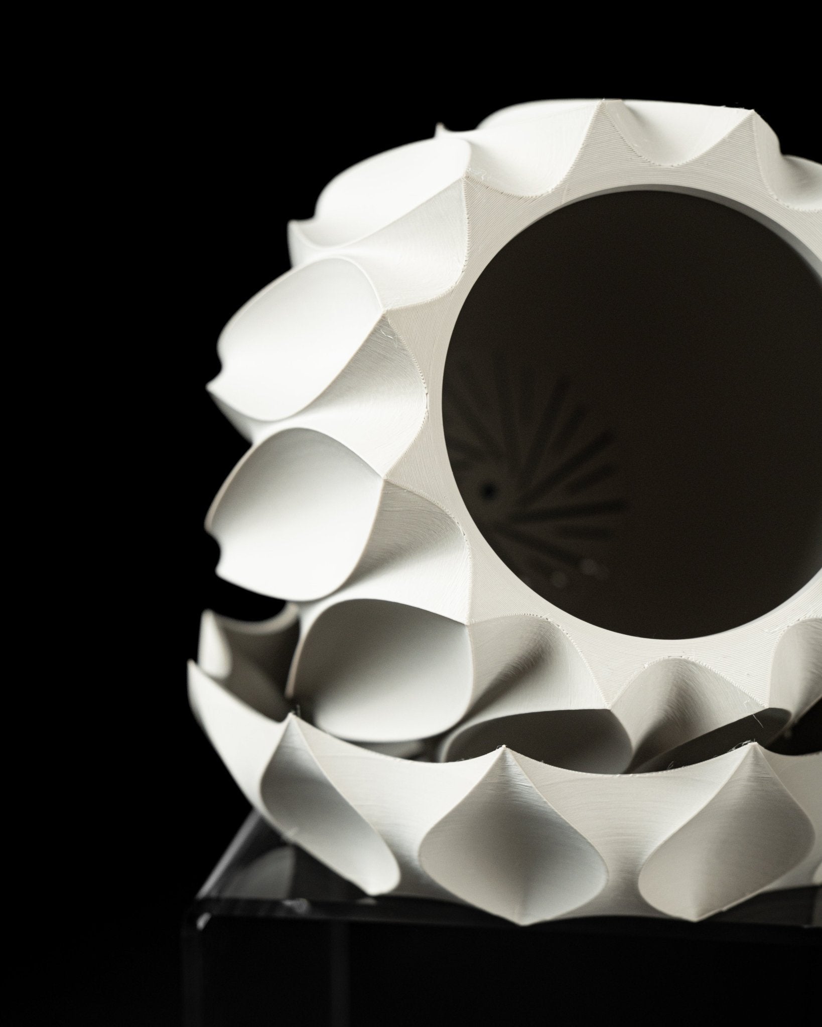 כלי לצמחים - עלי הלוטוס - פרפקט תלת - מימד