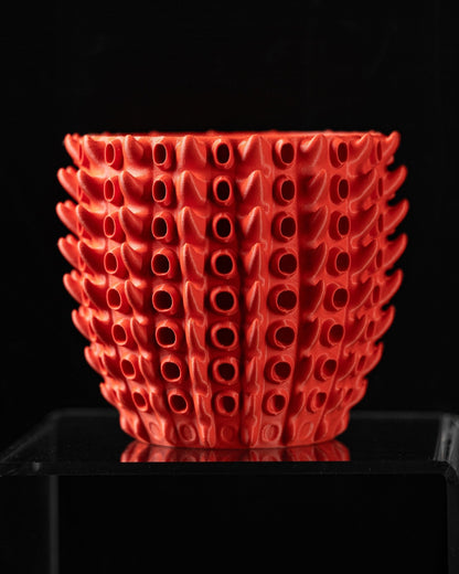 כלי לצמחים - אלמוגי הים - פרפקט תלת - מימד