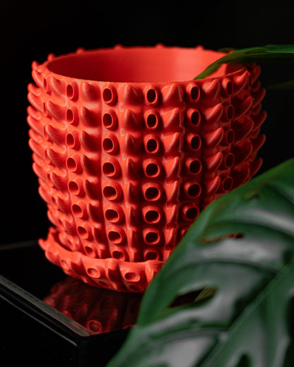 כלי לצמחים - אלמוגי הים - פרפקט תלת - מימד