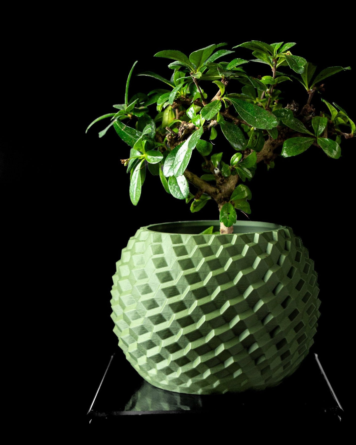 כלי לצמחים - פסיפס יהלומים - פרפקט תלת - מימד