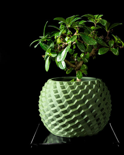 כלי לצמחים - פסיפס יהלומים - פרפקט תלת - מימד