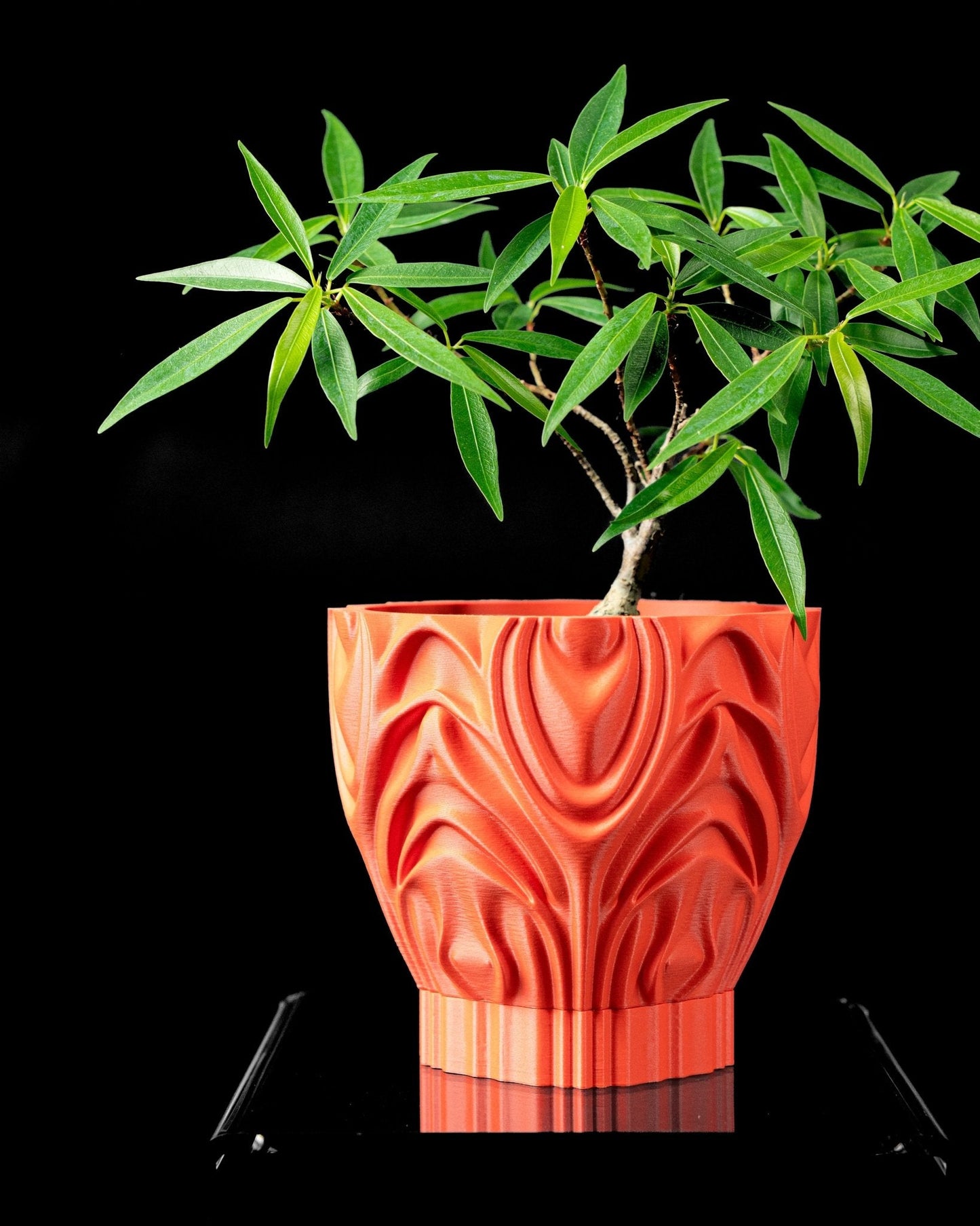 כלי לצמחים - להבות האמנות - פרפקט תלת - מימד