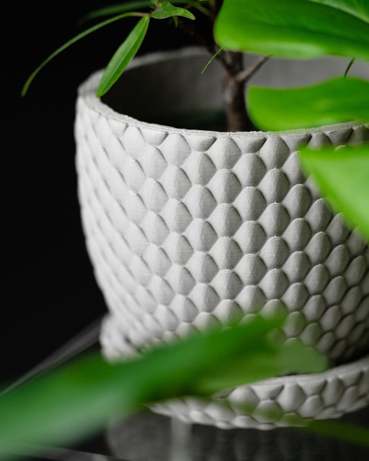 כלי לצמחים - קשקשי הדרקון - פרפקט תלת - מימד