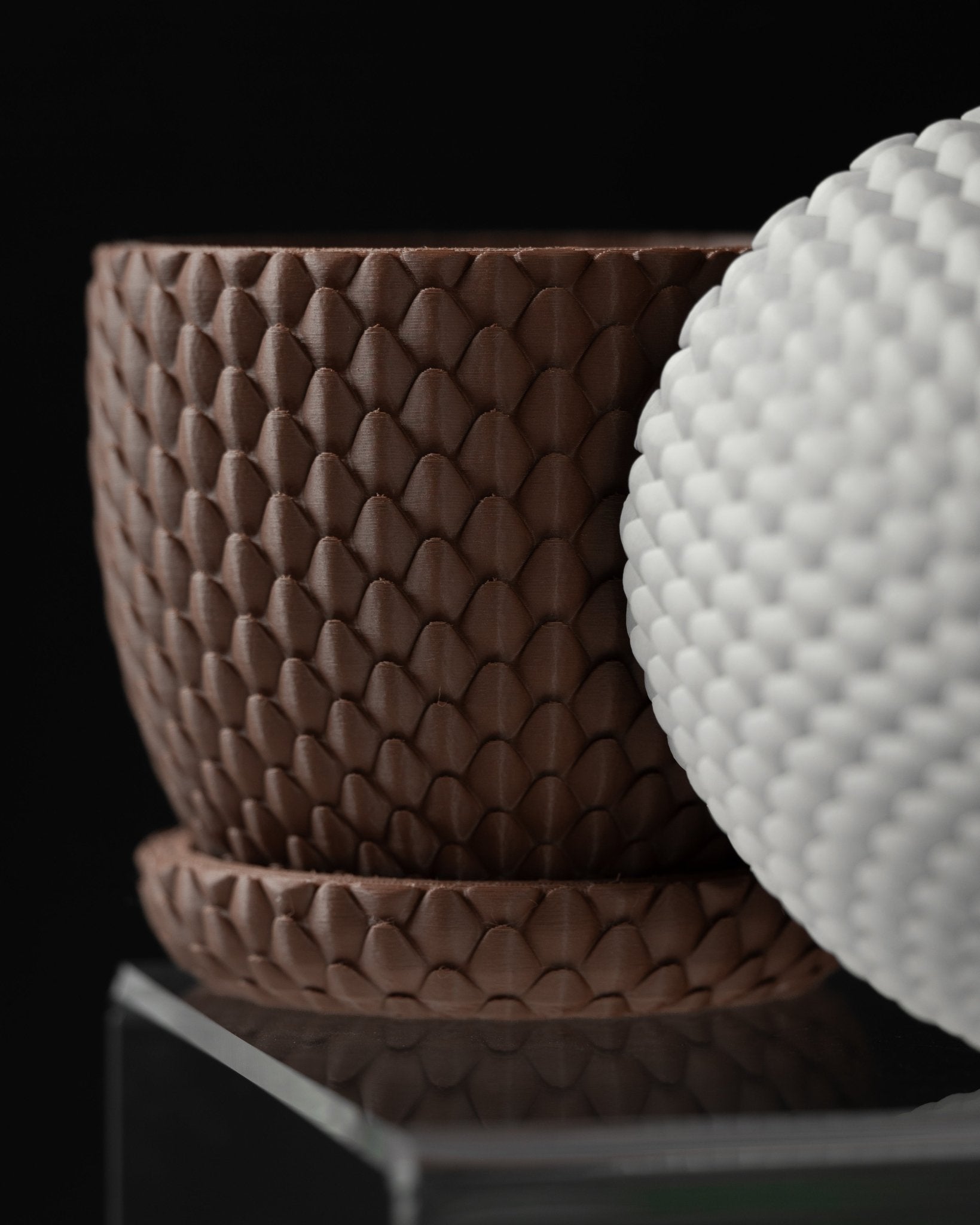 כלי לצמחים - קשקשי הדרקון - פרפקט תלת - מימד