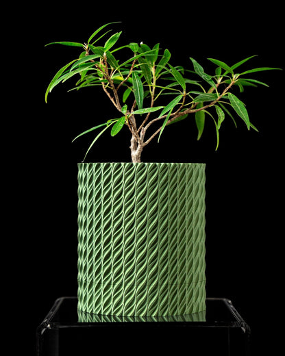 כלי לצמחים - ספירלת הבריזה - פרפקט תלת - מימד