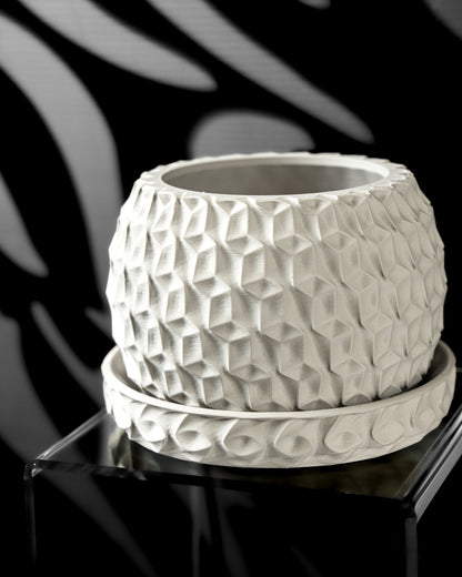 כלי לצמחים - הקסיגון המלכותי - פרפקט תלת - מימד