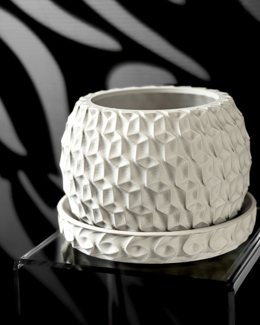 כלי לצמחים - הקסיגון המלכותי - פרפקט תלת - מימד