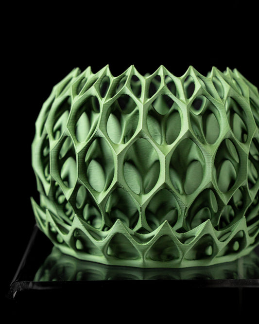 כלי לצמחים - כתר המלכה גרסת בונסאי - פרפקט תלת - מימד