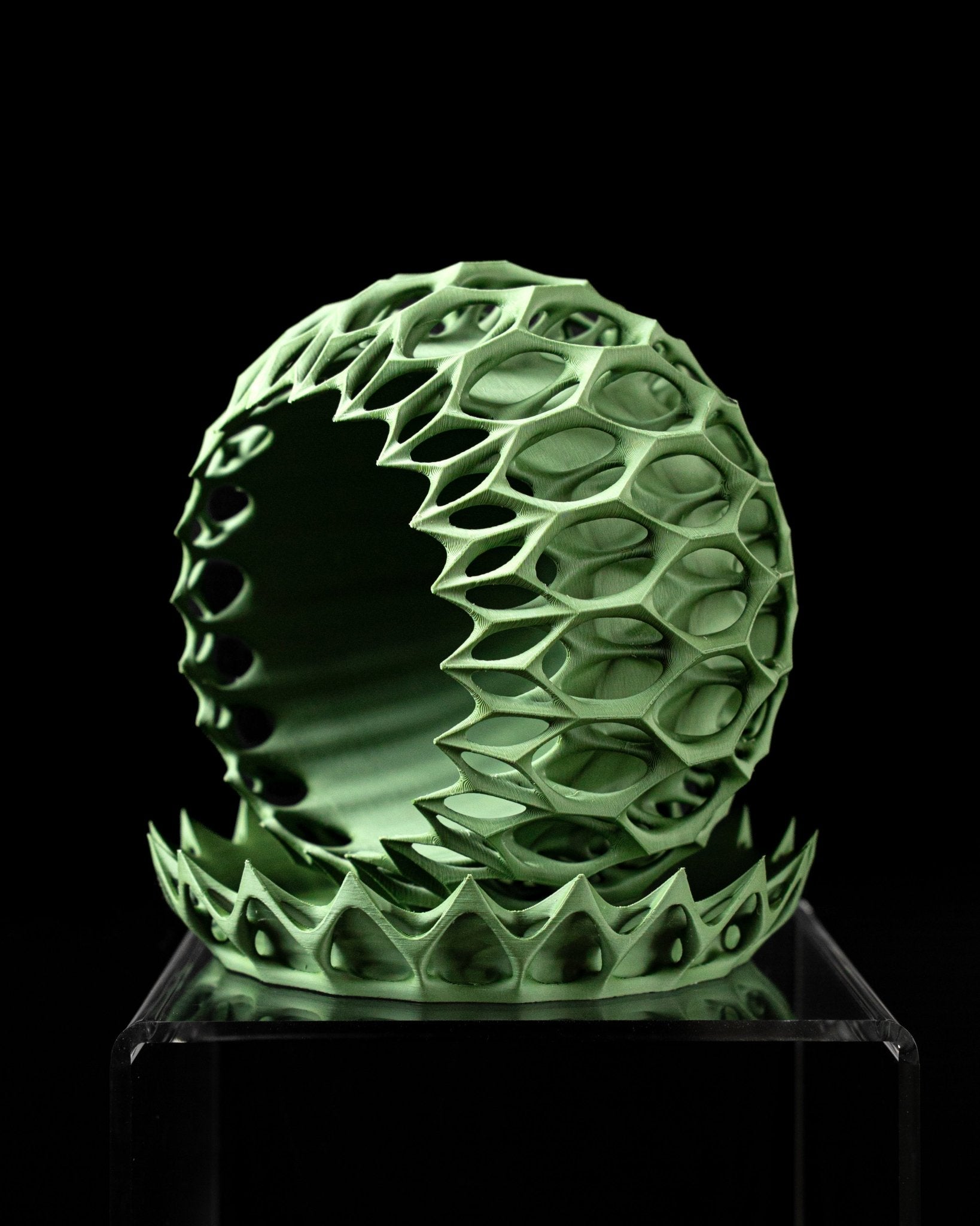 כלי לצמחים - כתר המלכה גרסת בונסאי - פרפקט תלת - מימד