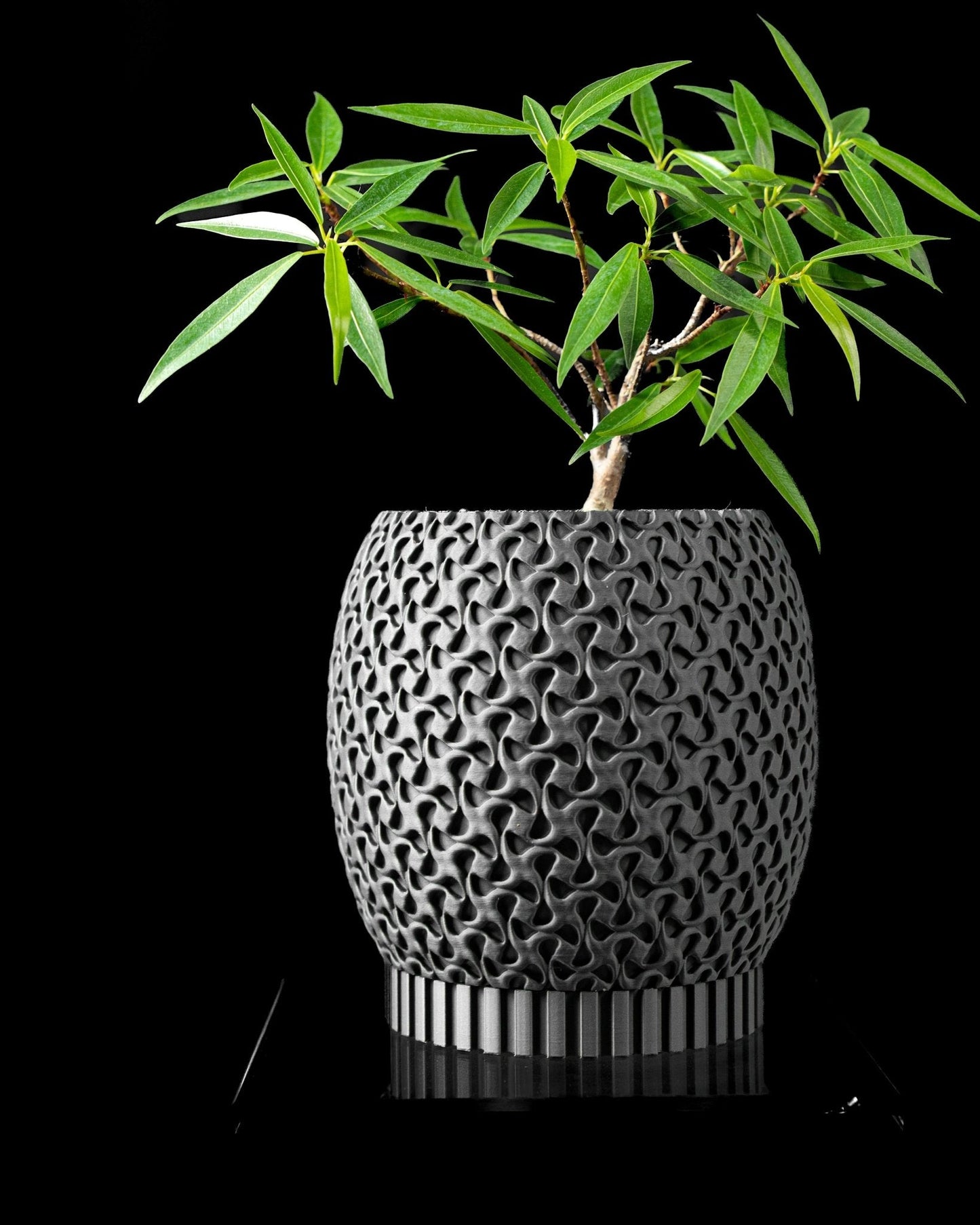 כלי לצמחים - גלי הטבע - פרפקט תלת - מימד