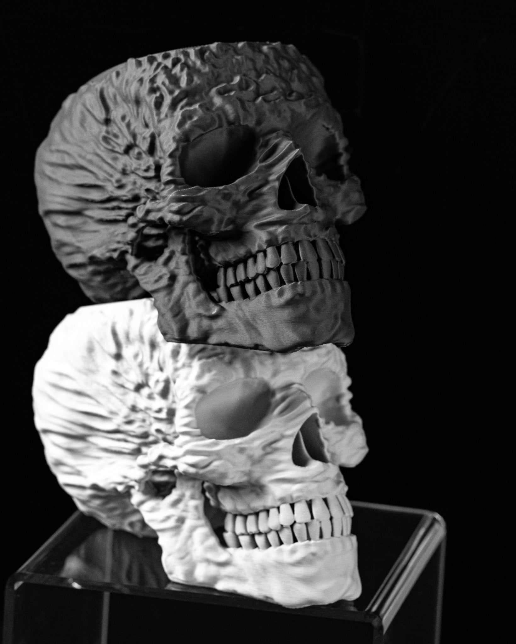 כלי לצמחים - גולגולת לוהטת - פרפקט תלת - מימד