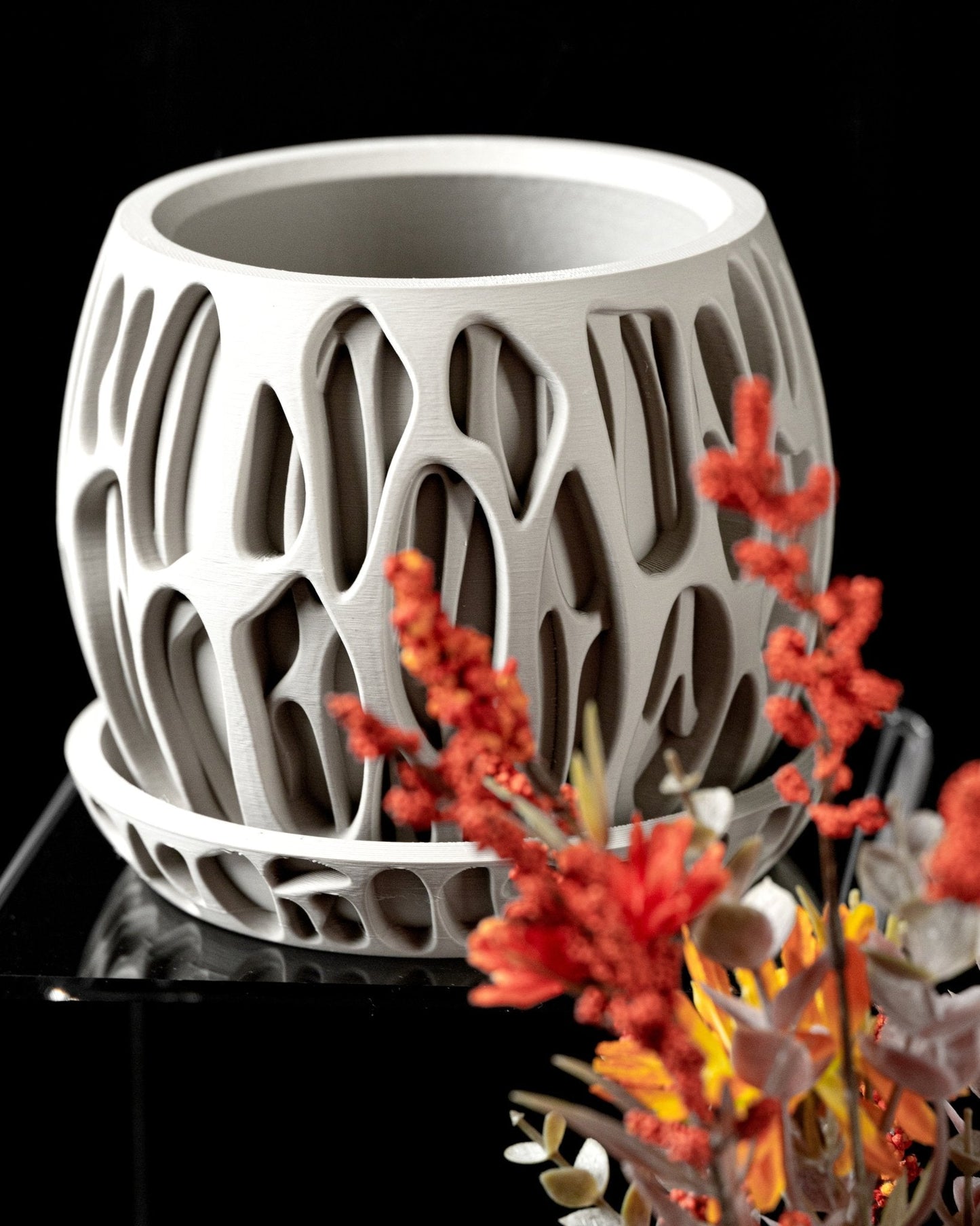 כלי לצמחים - שורשי האלמוג - פרפקט תלת - מימד