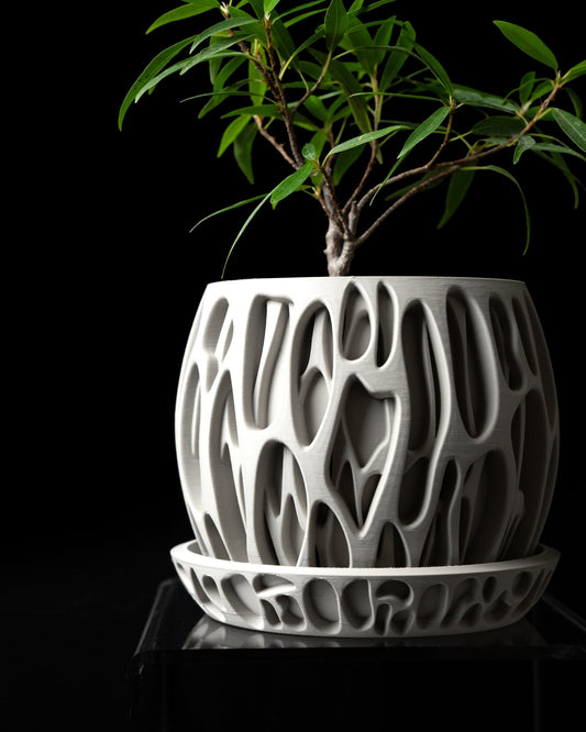 כלי לצמחים - שורשי האלמוג - פרפקט תלת - מימד