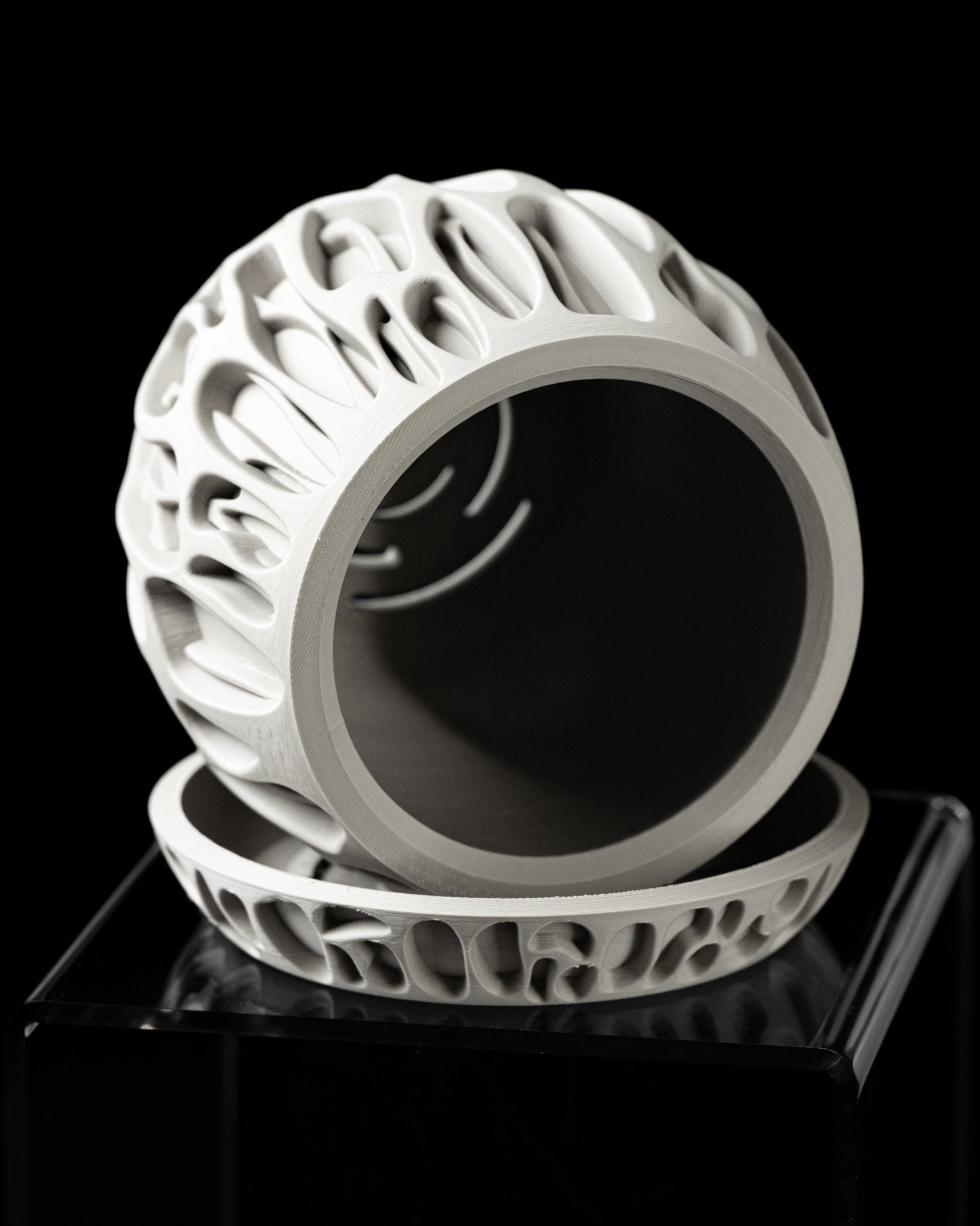 כלי לצמחים - שורשי האלמוג - פרפקט תלת - מימד