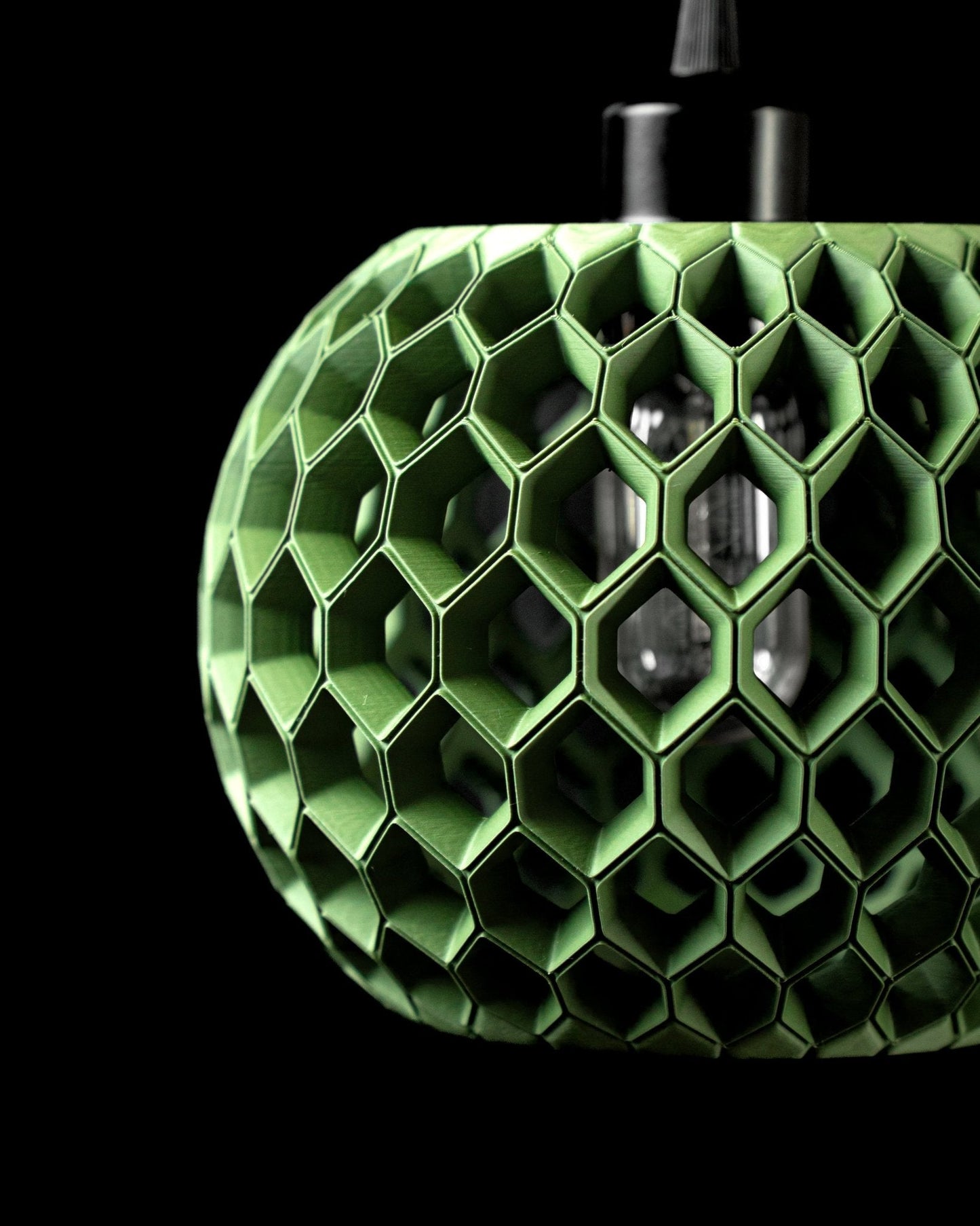 אהיל תליה - כוורת הזוהר - פרפקט תלת - מימד